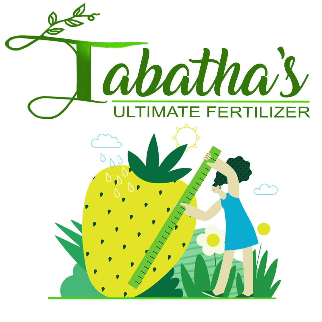 Image of Advertisement